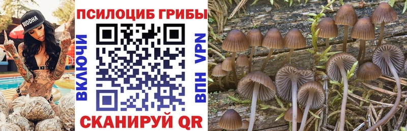 Псилоцибиновые грибы Magic Shrooms  Миасс 